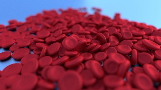 Globules rouges