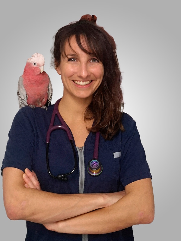 Vétérinaire NAC Lyon Claire Louvard
