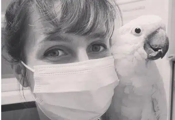Vétérinaire avec un Cacatoes