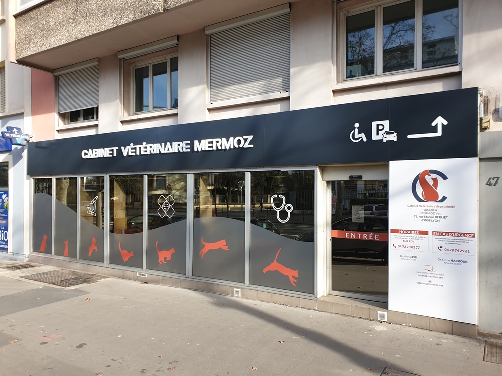 cabinet vétérinaire Mermoz