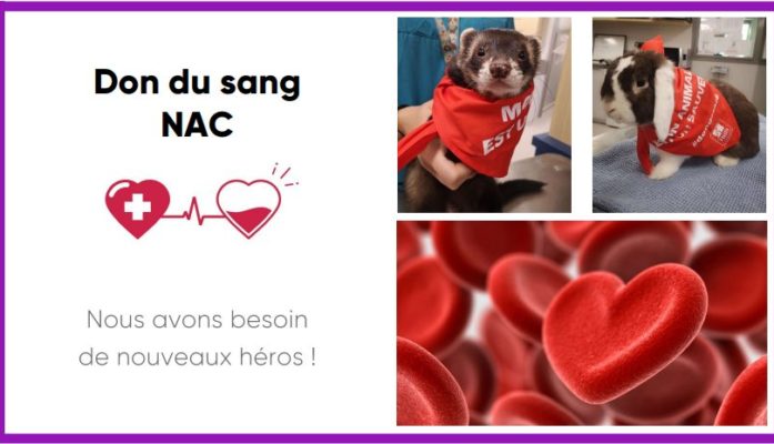 Don du sang NAC