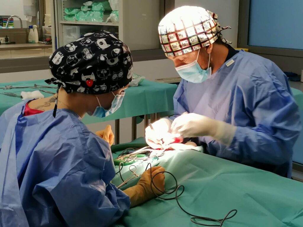 Chirurgie orthopédique