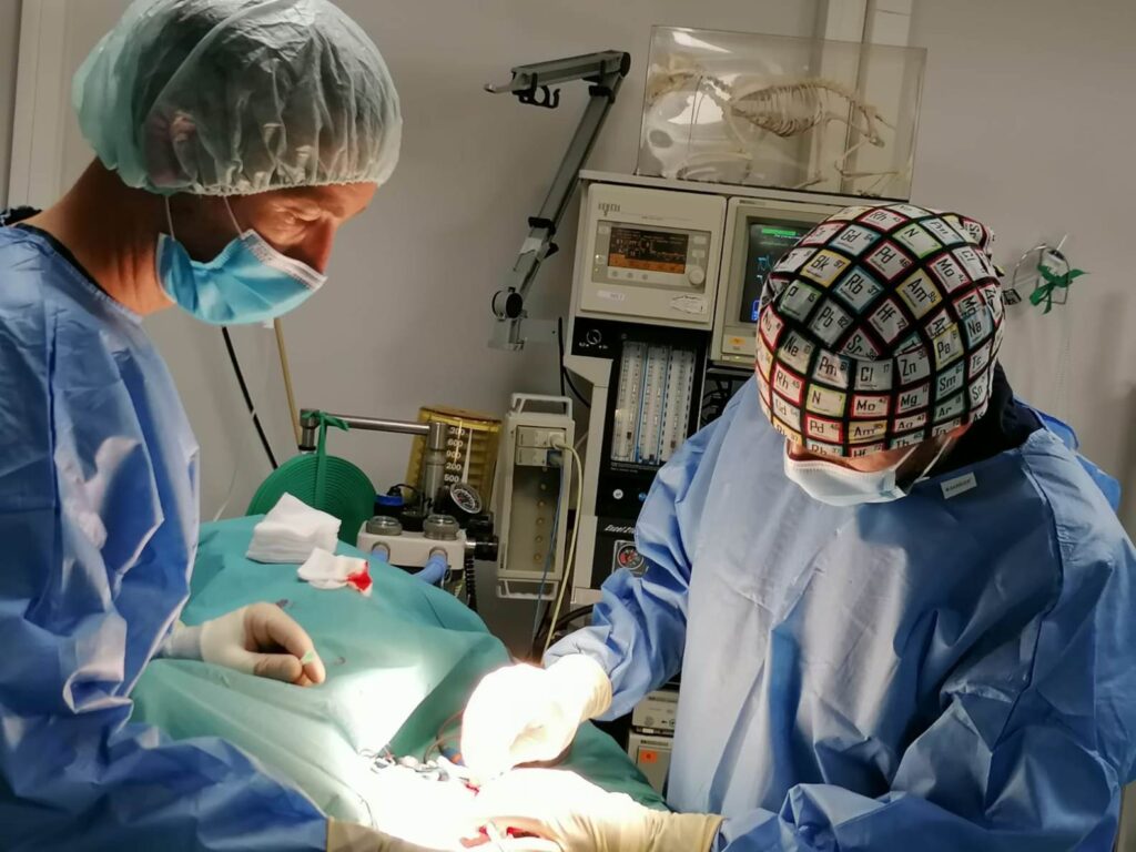 Chirurgie Mermoz