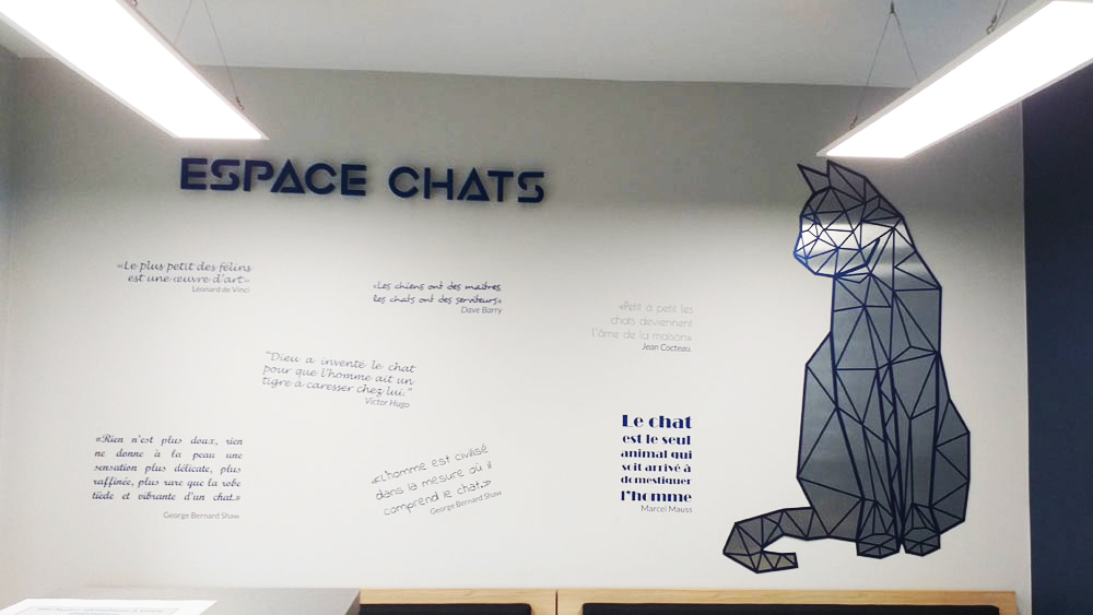 Salle d'attente urgences | Espace chats