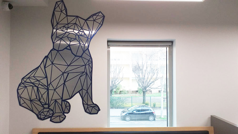 Salle d'attente urgences | Espace chiens