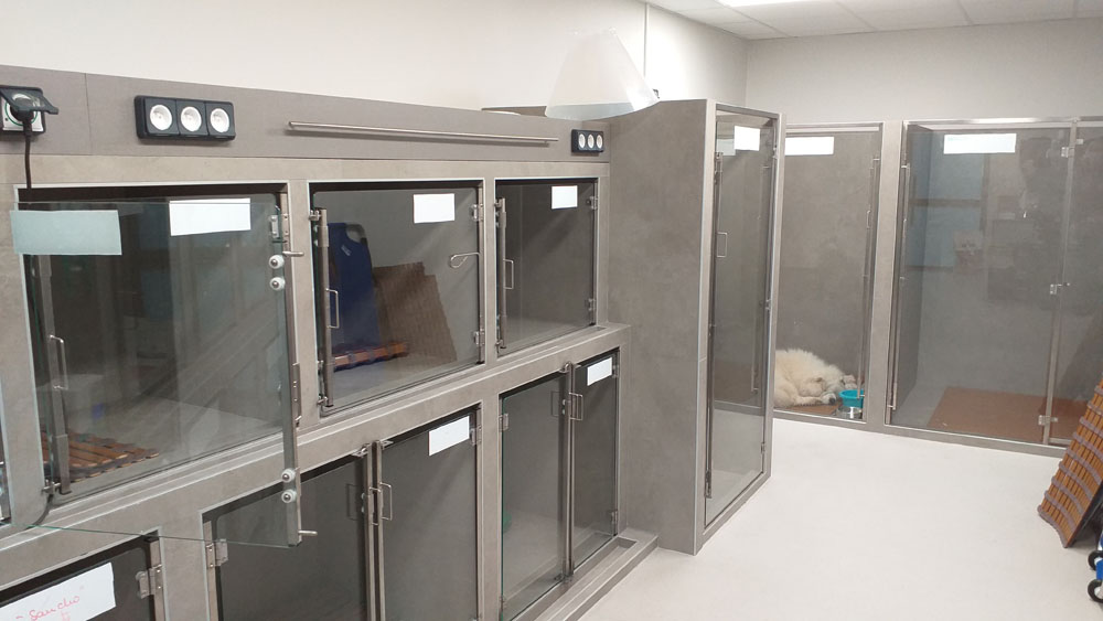 L'espace d'hospitalisation dédié aux chiens