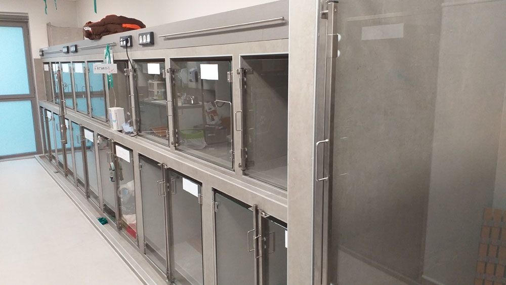 L'espace d'hospitalisation dédié aux chiens