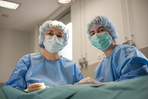 veterinaire-lyon-8-eme-MERMOZ-chirurgie-042