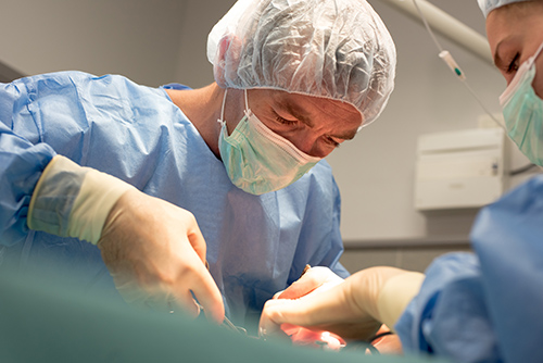 Chirurgie Mermoz Vet
